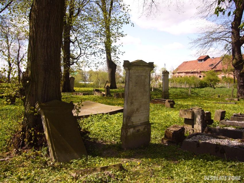 Cmentarz mennonitów ( x i x w.), tropy elbląskie