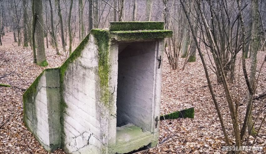 Fortyfikacje w puławskich lasach