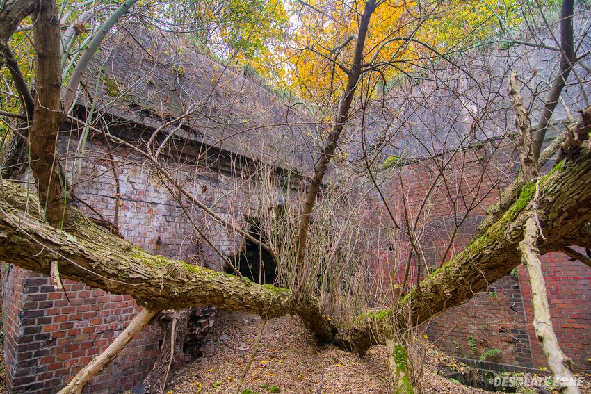 Fort i v hake, poznań
