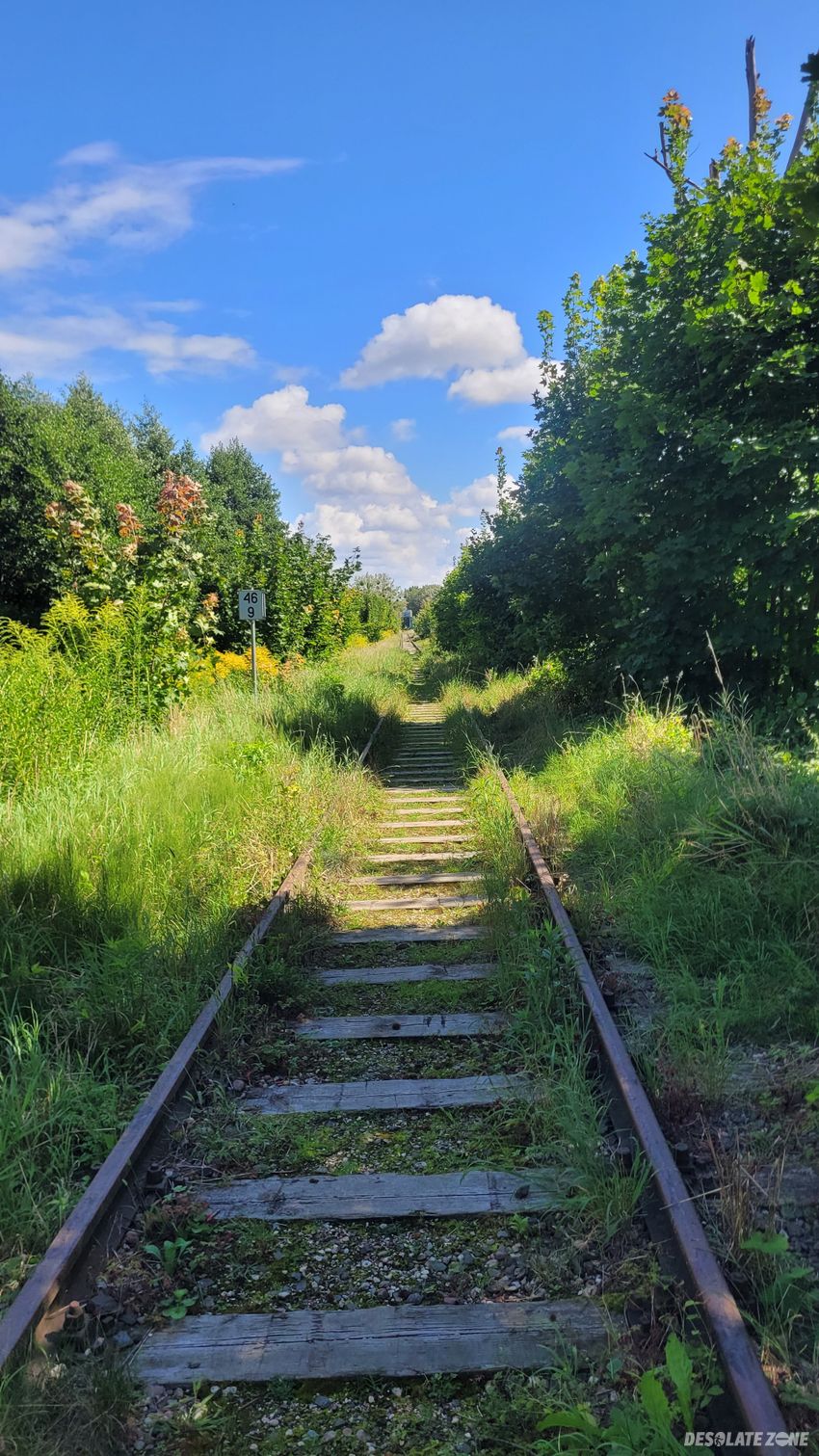 Most kolei nadzalewowej