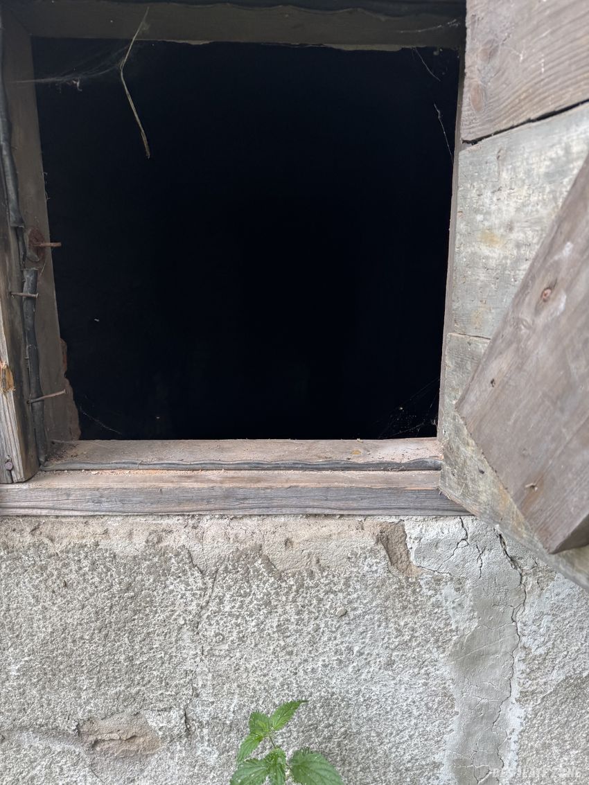 Duży dom w zaroślach