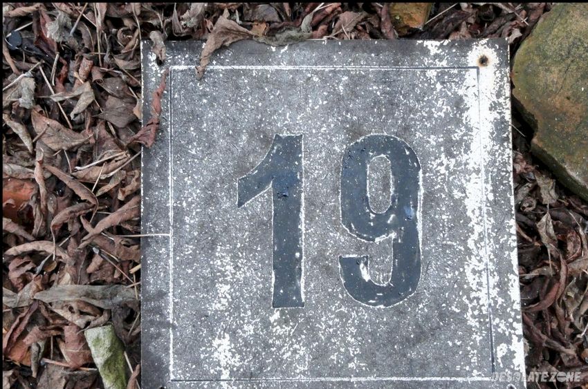 Fabryka braci briggs, marki