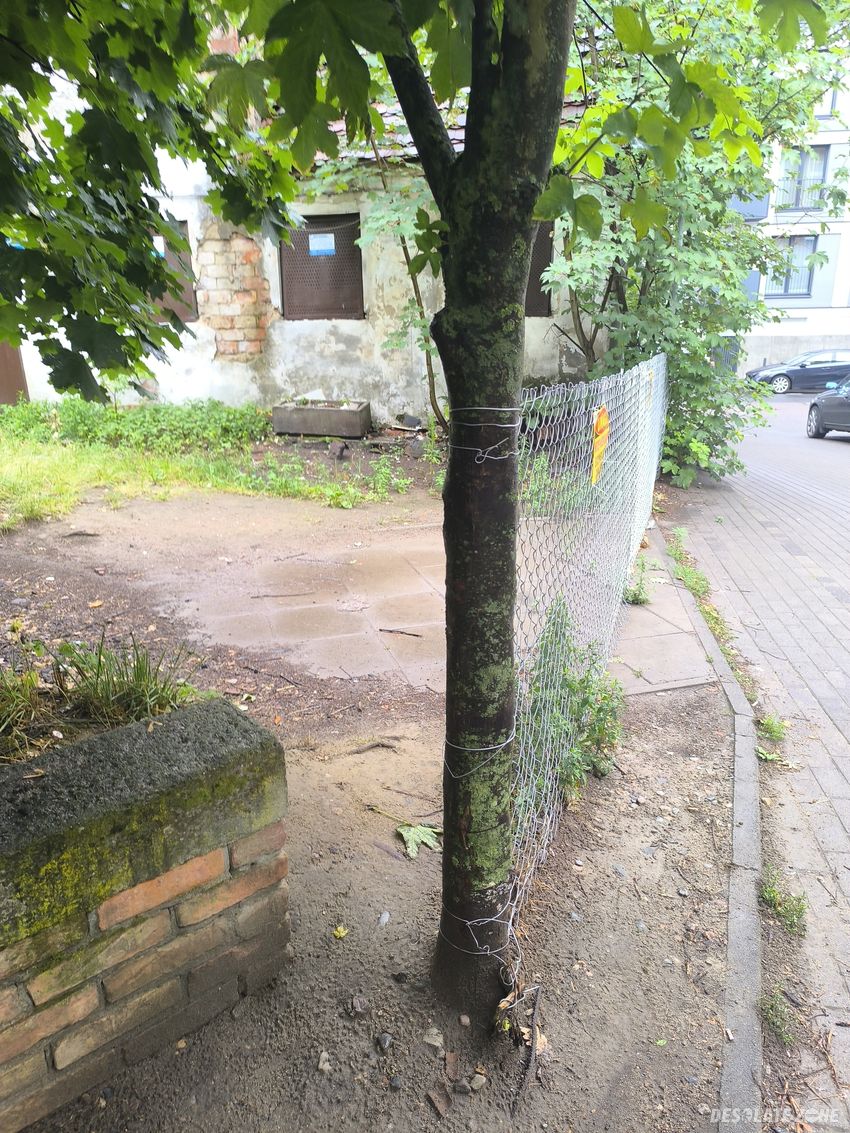 Opuszczony budynek mieszkalny.