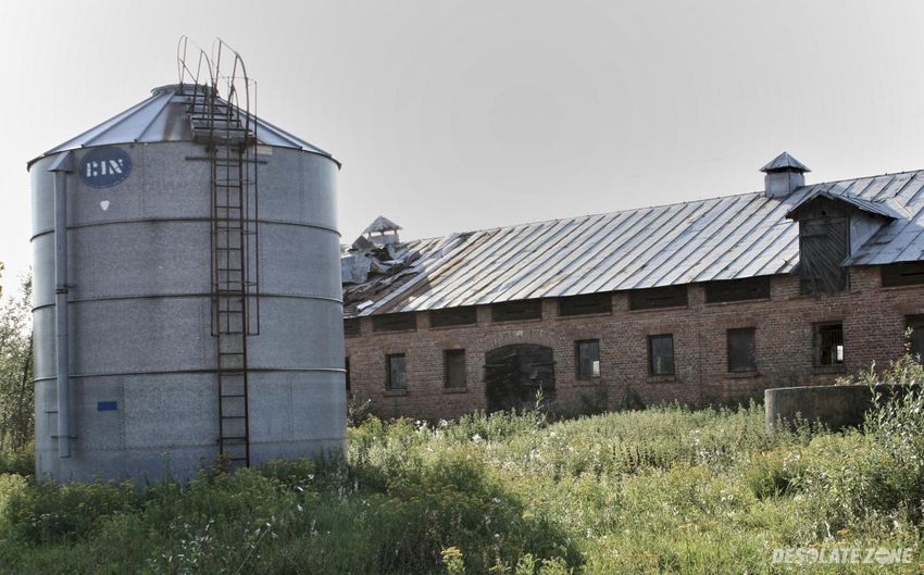 P g r w wiączemin polski, wiączemin polski