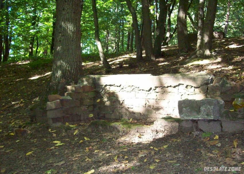 Opuszczony cmentarz Żydowski, wejherowo
