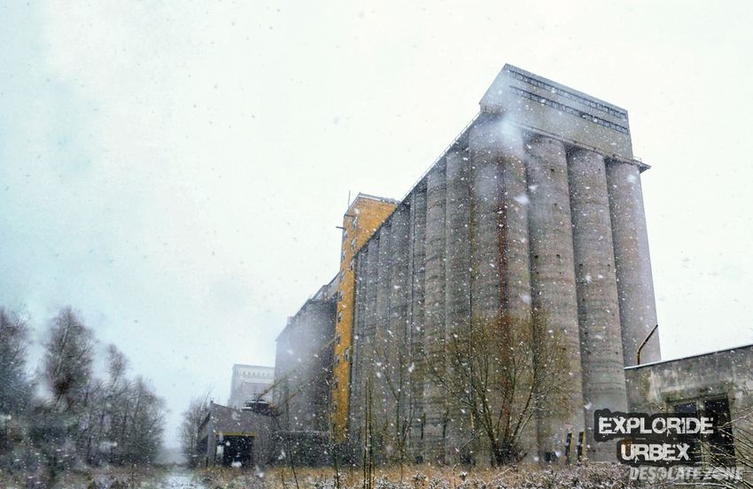 Silosy spożywcze, włocławek