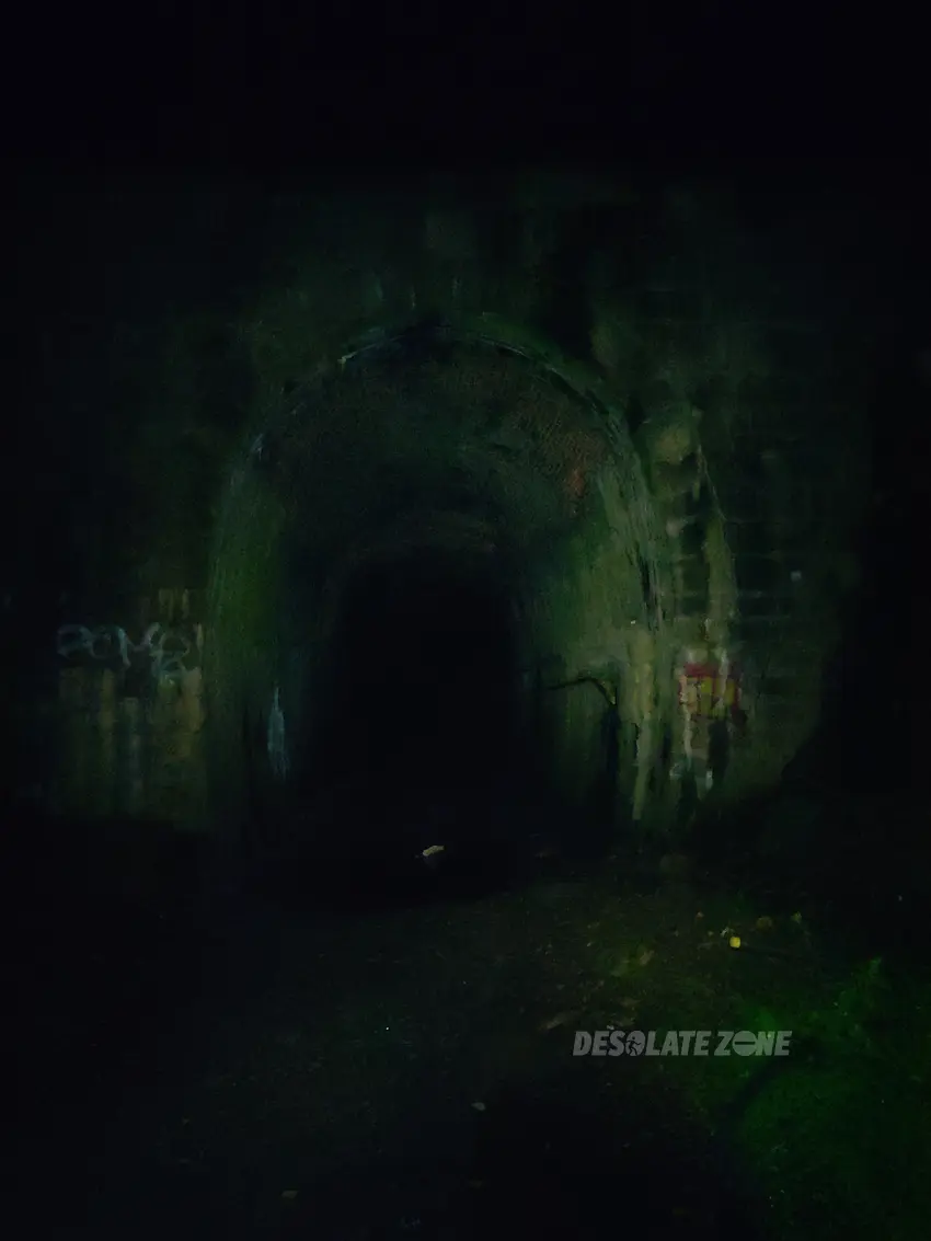 Tunel kolejowy pod Małym Wołowcem - zdjęcie 1/22