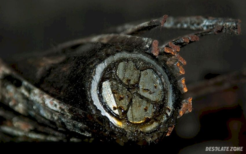 Warszawskie zakłady fototechniczne f o t o n, warszawa