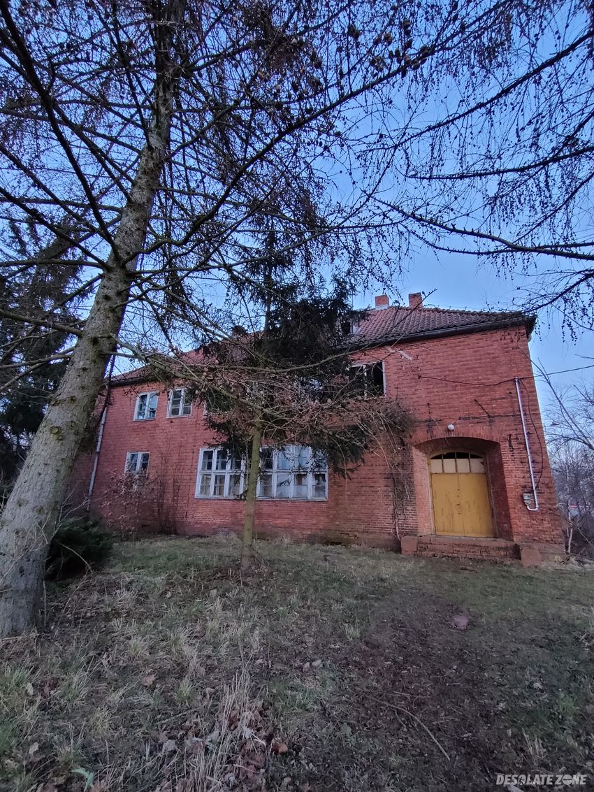 Szkoła podstawowa, bukowiec