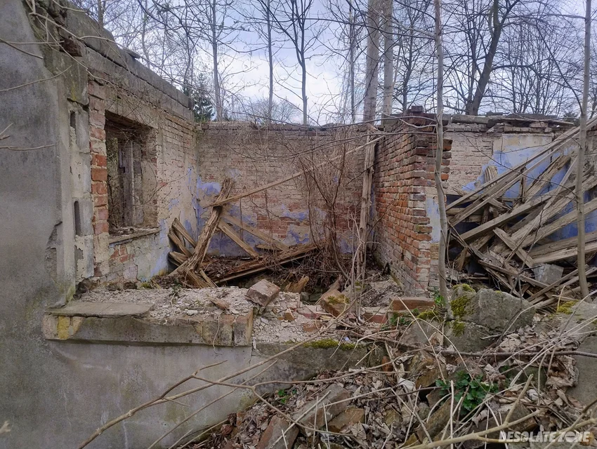 Ruiny gospodarstwa - zdjęcie 1/4