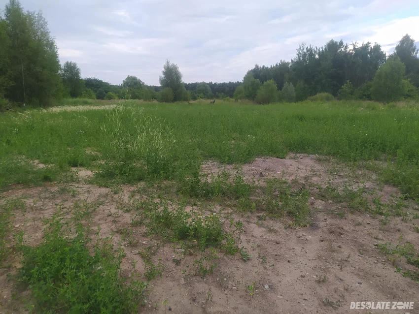 Stara cegielnia zelów, zelów