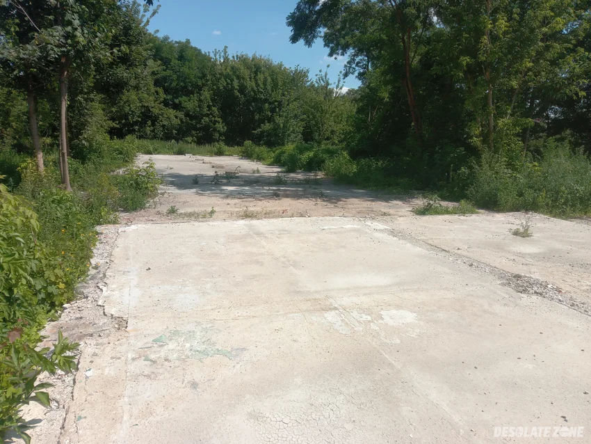 P g r wolica - zdjęcie 1/4