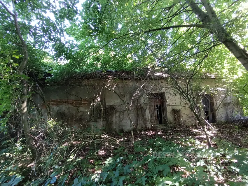 Opuszczony dom - zdjęcie 1/4