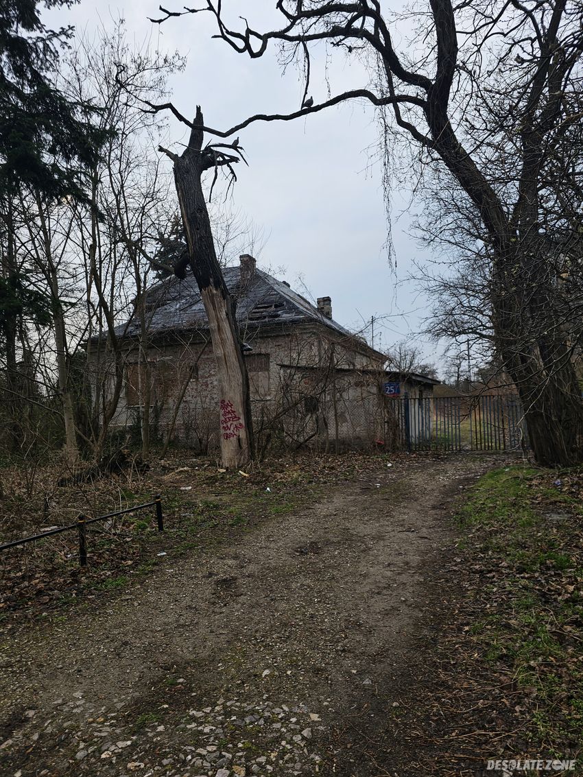 Zabytkowa willa artura stefańskiego