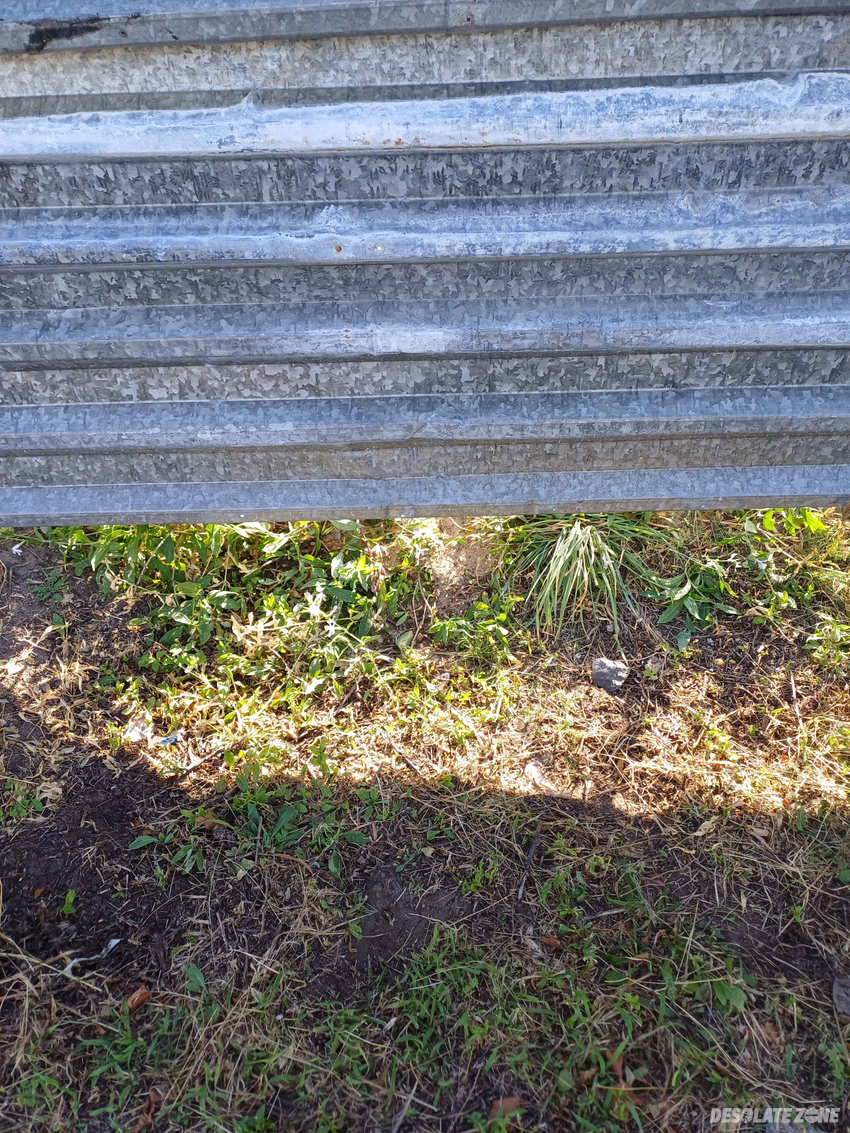 Pustostan na toruńskiej