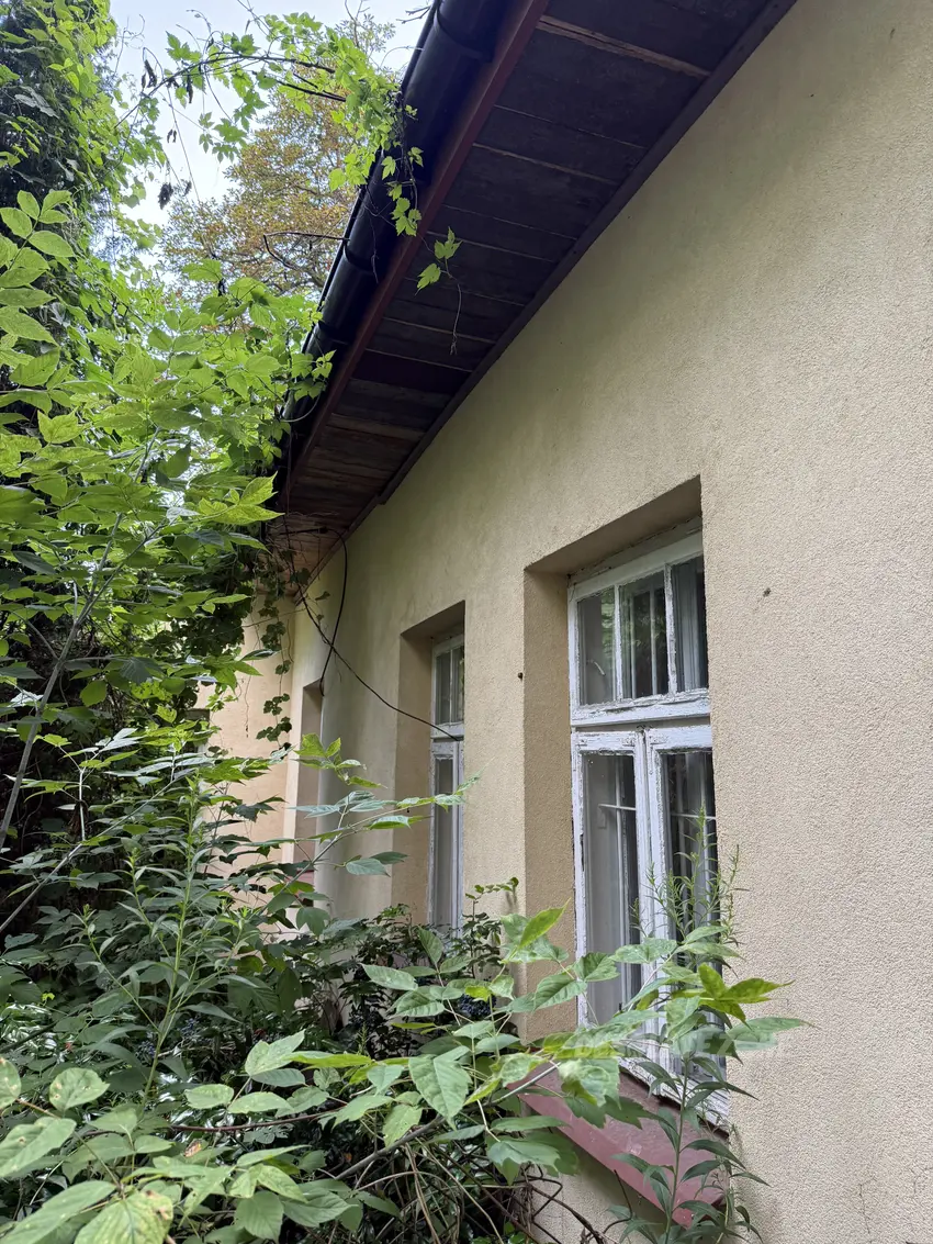 Opuszczony dom - zdjęcie 1/8