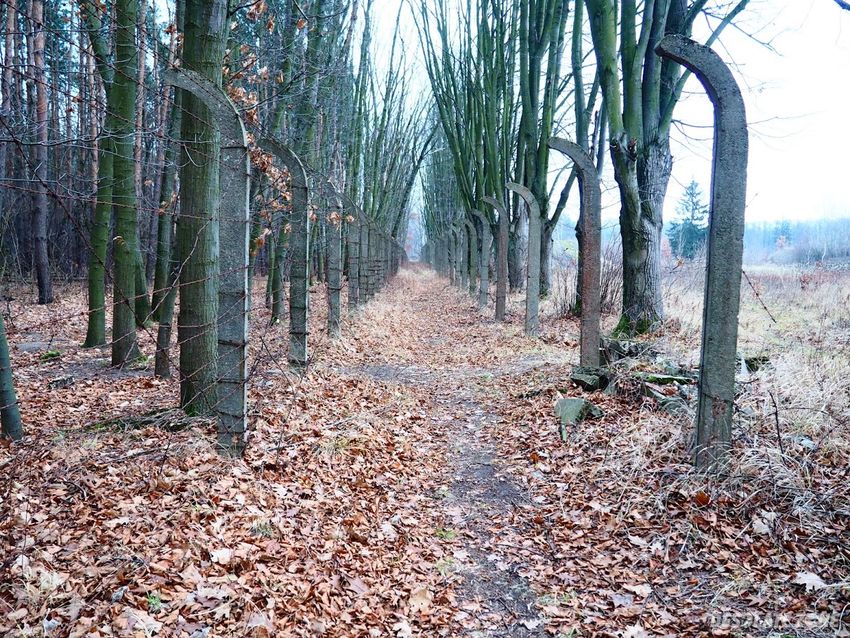 4 batalion radiotechniczny " radiowo"