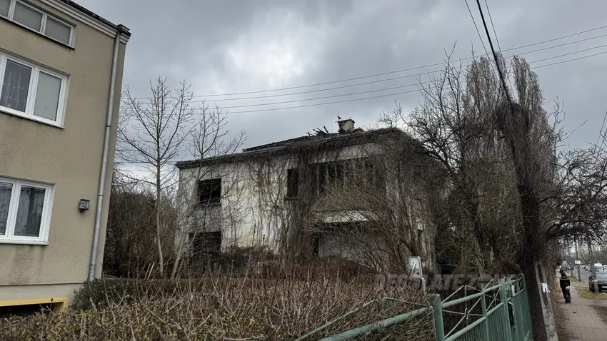 Zarośnięty dom - zdjęcie 1/4