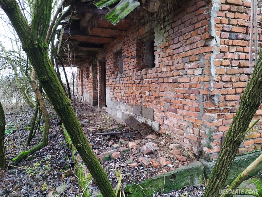 Opuszczone gospodarstwo - górka