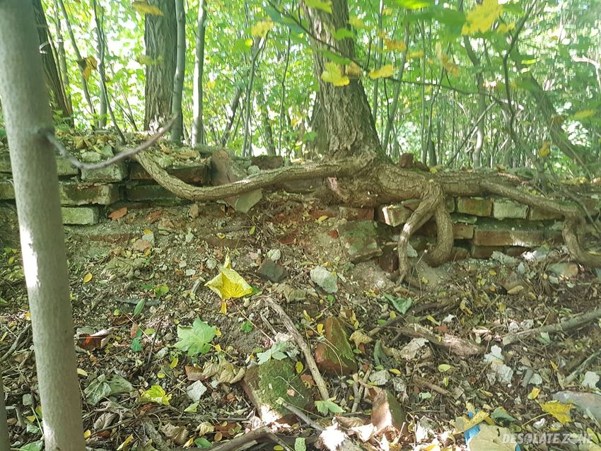 Relikty jednostki wojskowej