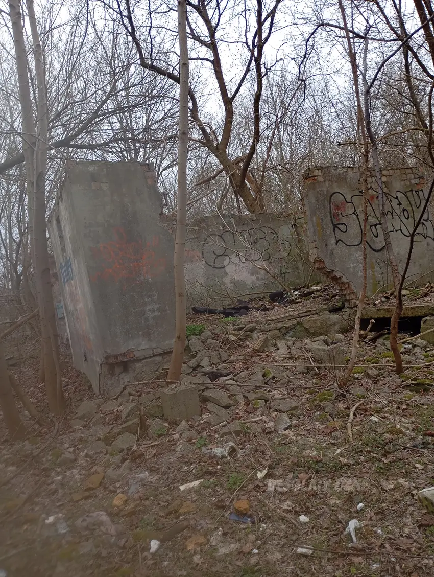 Ruiny kilku domów w lasku - photo 1/4