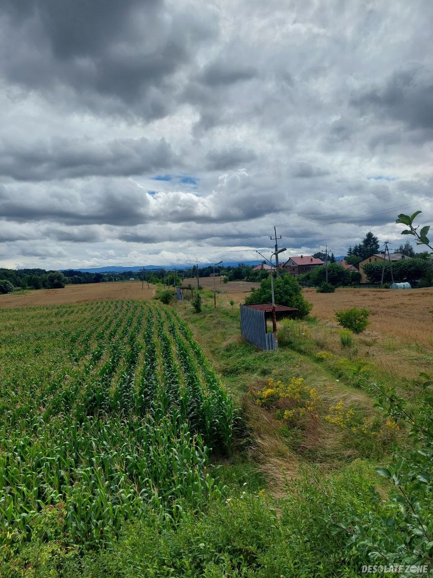 Trzebieńczyce p k p