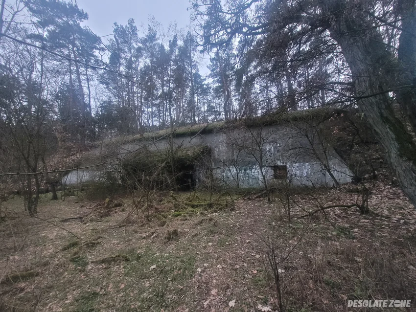 Prochownie zajączka, cybulice - zdjęcie 1/4