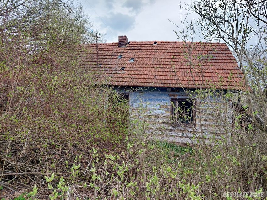 Opuszczona chata z musztardą