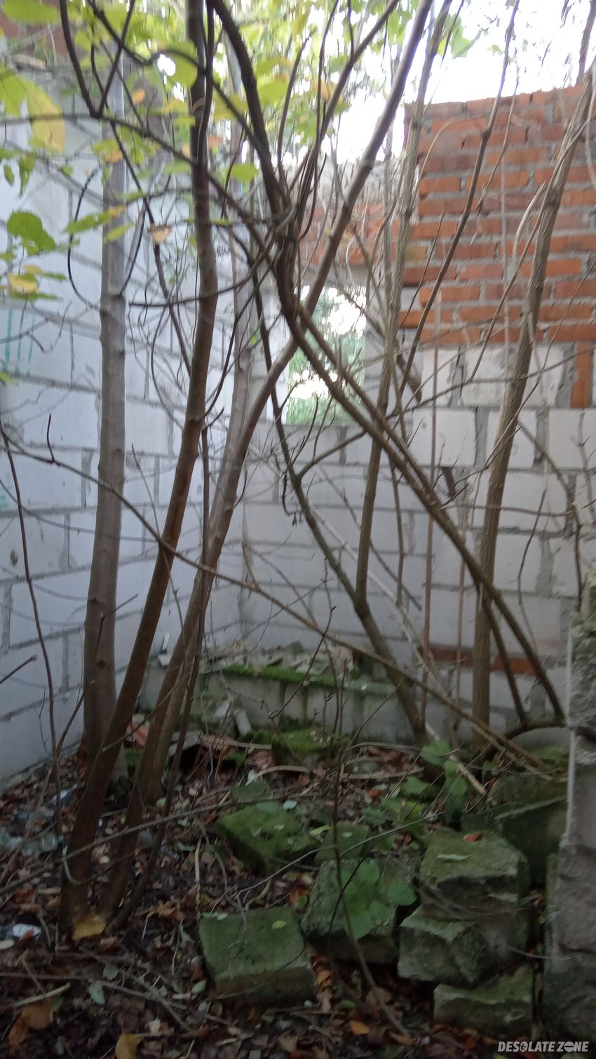 Opuszczony dom z końca x x wieku