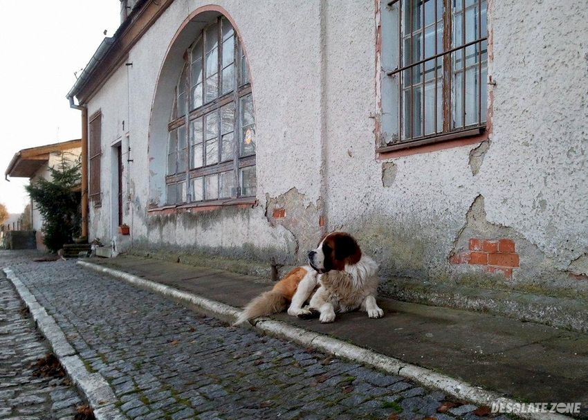 Stacja kolejowa , biskupice oławskie