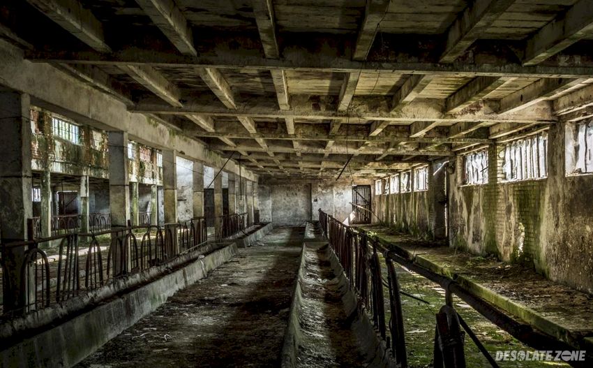 Stary p g r, bemowizna