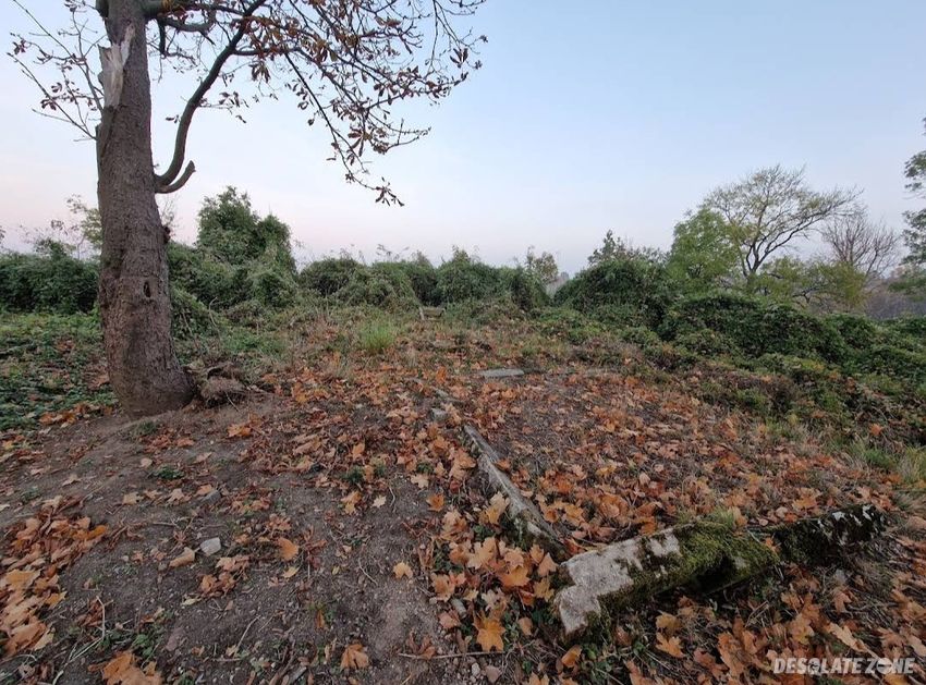 Stary opuszczony cmentarz niemiecki ( niemiec)