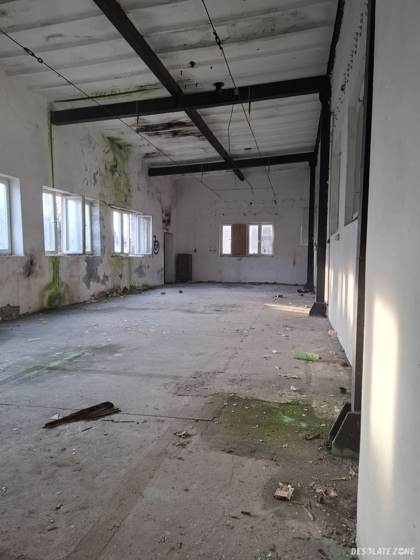 Mechanik samochodowy