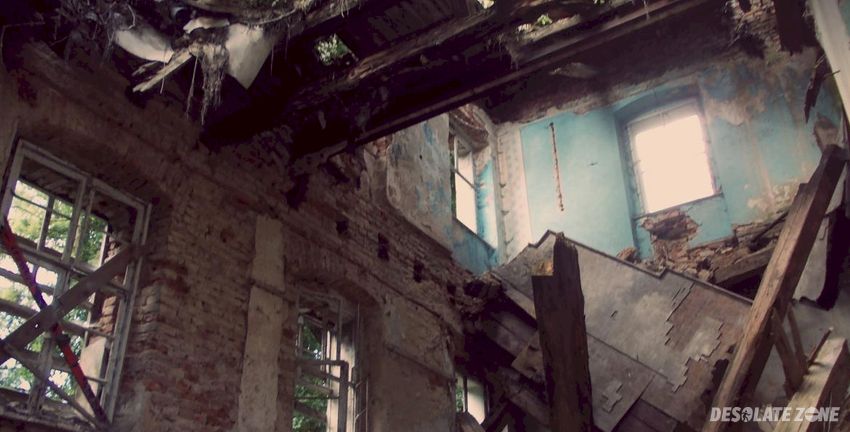 Ruiny pałacu, strzybnik