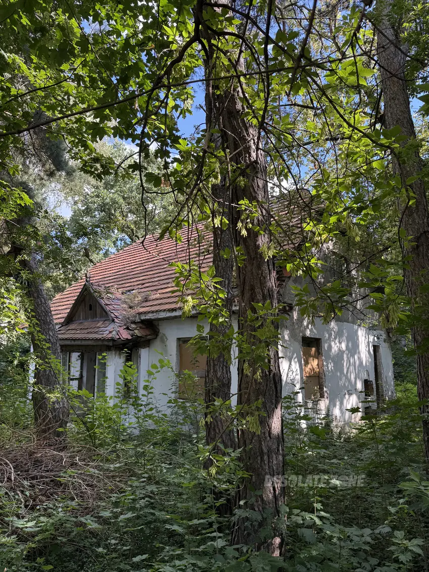 Opuszczony dom - zdjęcie 1/4
