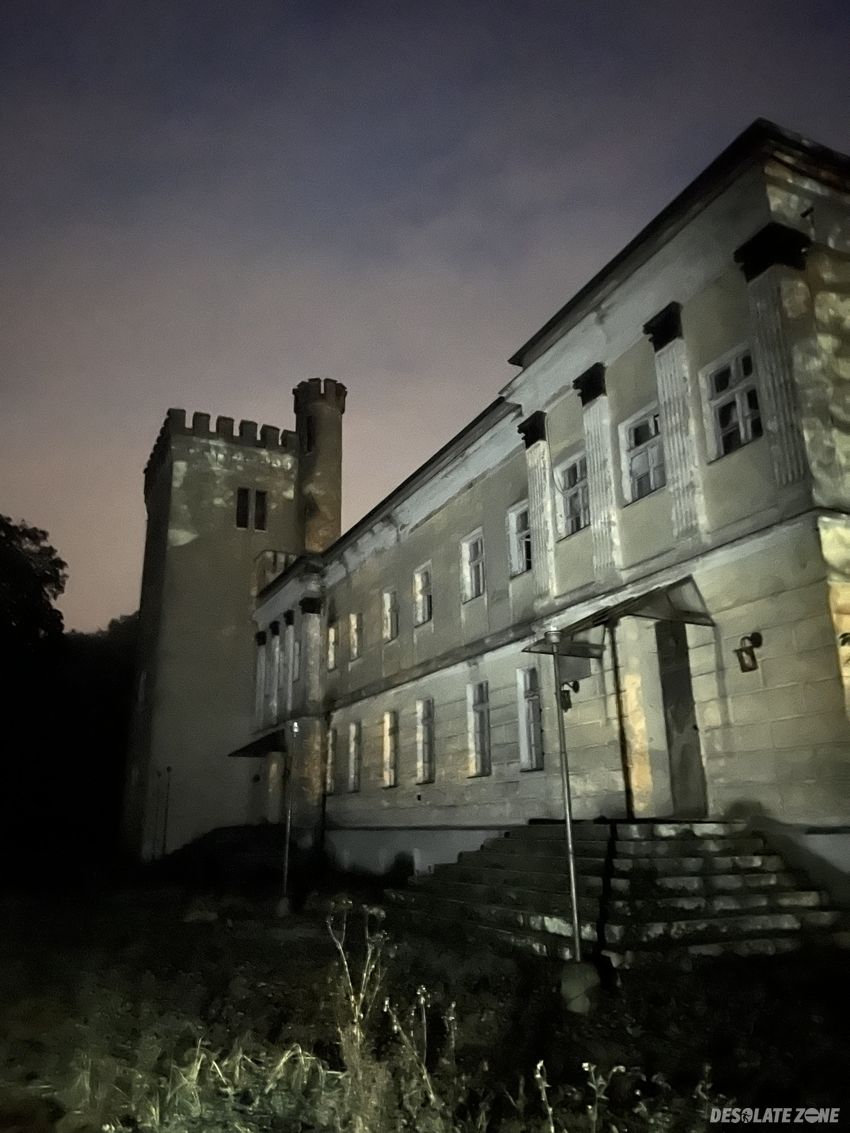 Pałac w parzęczewie.