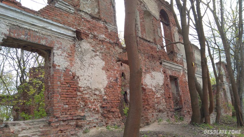 Ruiny pałacu Łubieńskich, okuniew