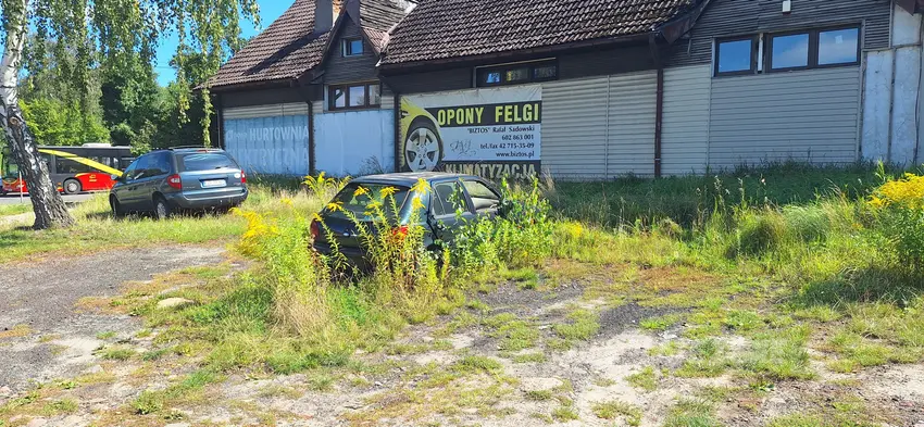 Wrośnięte auto - photo 1/3