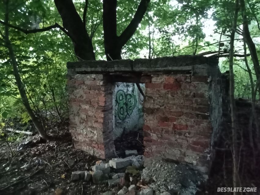 Tajemnicza ruina obok osiedla