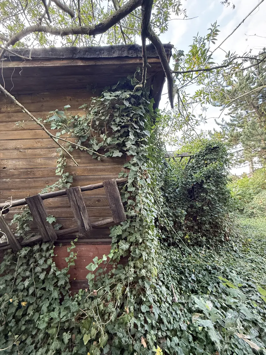 Opuszczony dom - zdjęcie 1/10