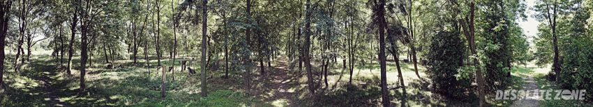 Opuszczony cmentarz na samotnej