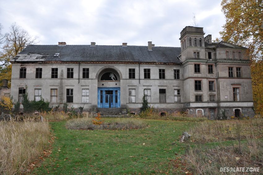 Opuszczony pałac, sosny