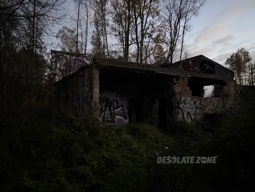Ruiny budynku w środku lasu - photo 1/4