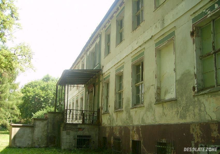 Pałac - opuszczona kolonia, debrznica