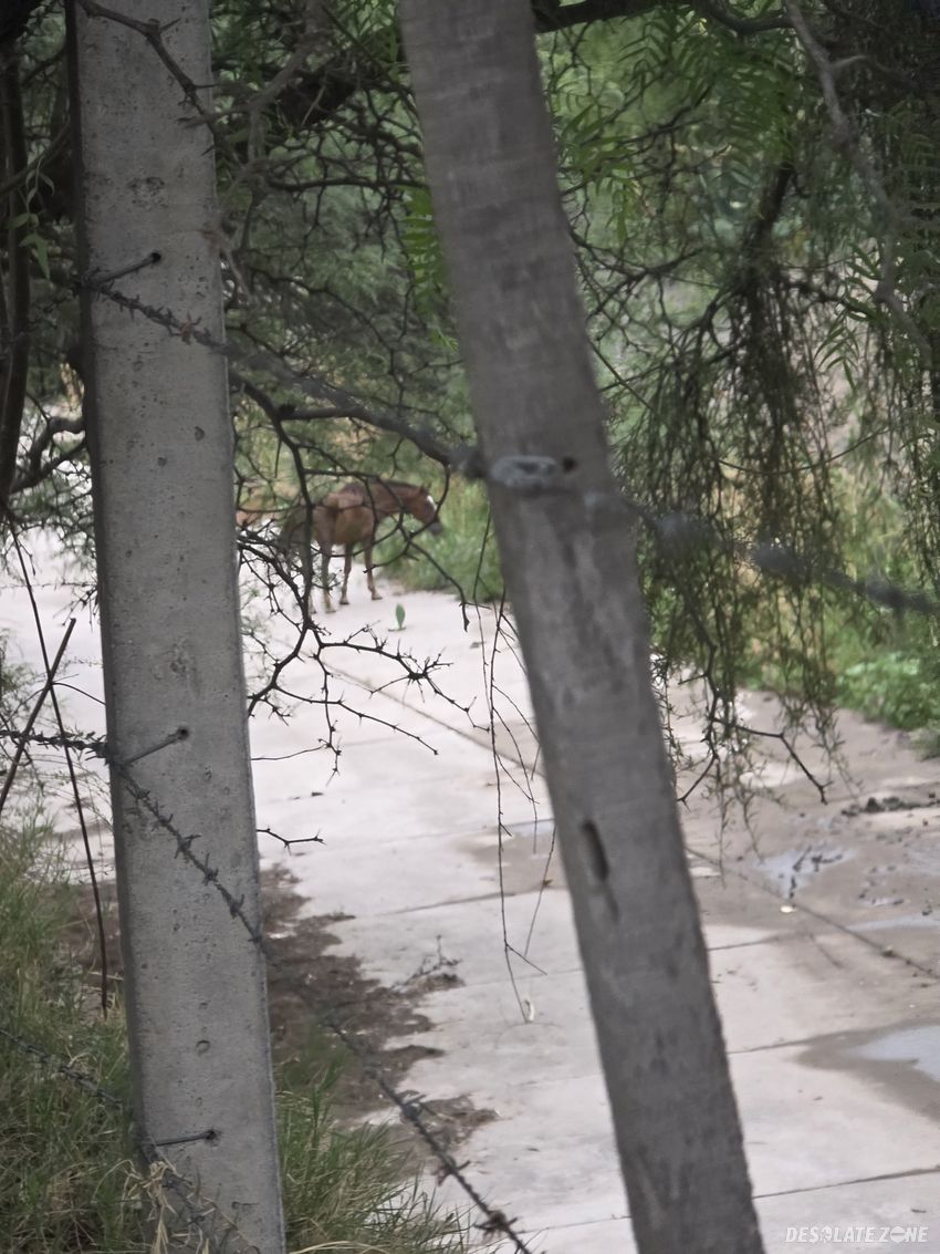 Opuszczony zakład z magazynem
