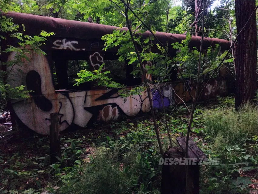 Wagon - zdjęcie 1/11