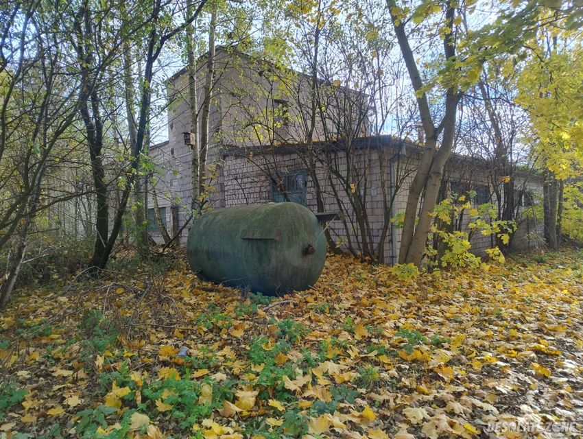 O d l e w n i a Ż e l i w a