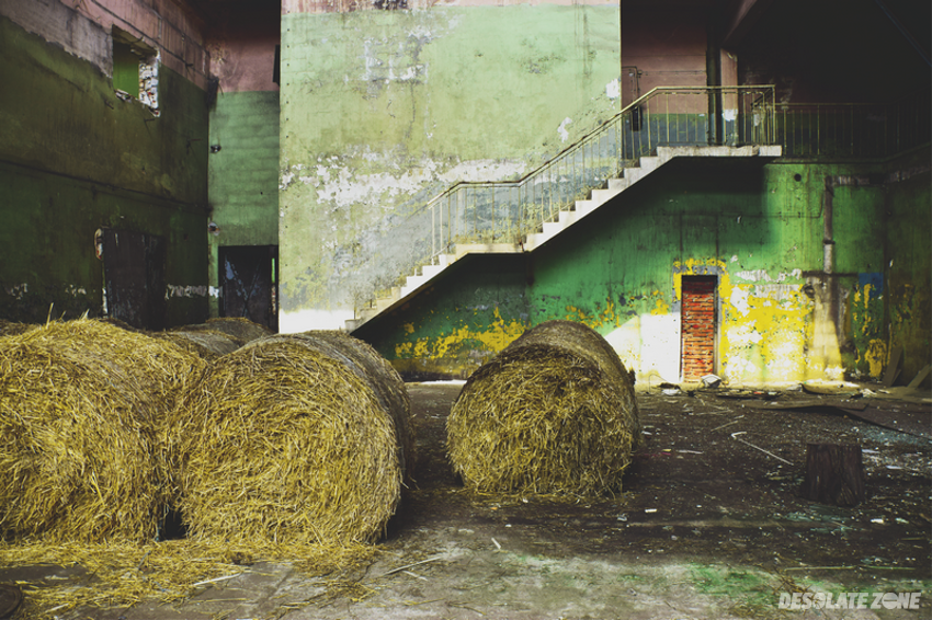 Opuszczona hala dawnych zakładów e d a