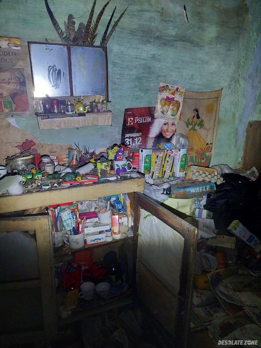 Opuszczona chata w lasku