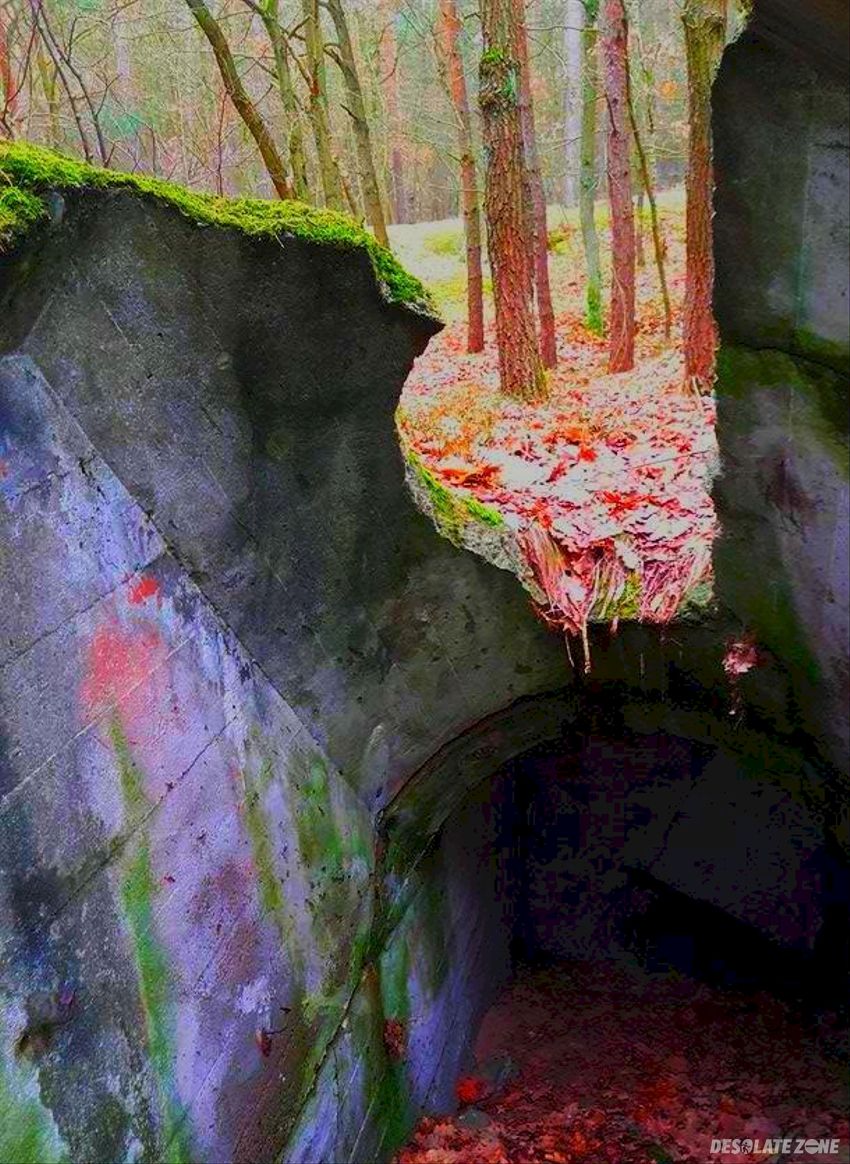 Bunkry w okolicy fabryki w załomiu, szczecin